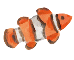 クマノミのイラスト