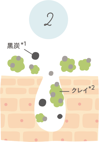 黒炭＊1と吸着クレイ＊2が角栓・毛穴汚れを吸着