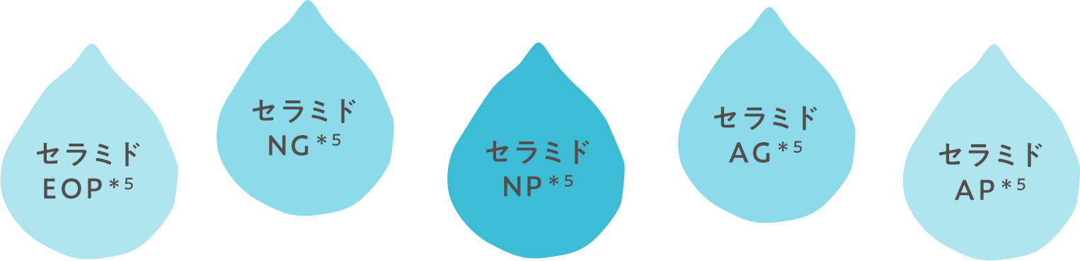 ５種のセラミド＊5配合でしっとりうるおう洗い上がり