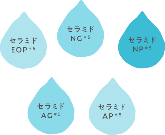 ５種のセラミド＊5配合でしっとりうるおう洗い上がり